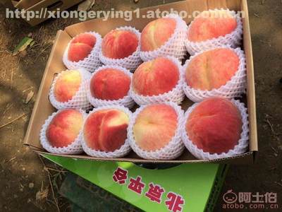 【90342桃禮品盒,平谷大桃,干核桃子】,價格,廠家,供應商,其他水果及制品,北京熊耳營農產品產銷專業合作社